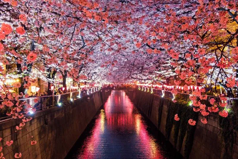 73 Basic Japanese Phrases I Will Teach You A Language 73 Basic Japanese Phrases I Will Teach You A Language